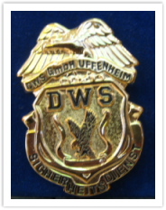 DWS GmbH Uffenheim Metallabzeichen